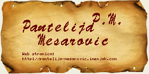 Pantelija Mesarović vizit kartica
